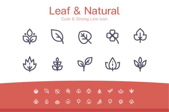 Leaf Natural Line Icon Graphics and Icons